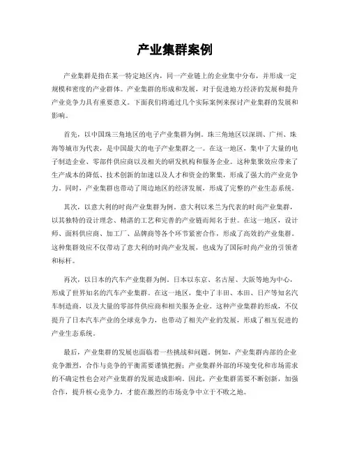 产业集群案例