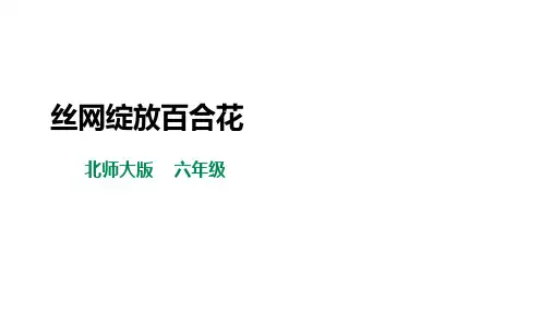 【北师大版】六年级第一单元第13课《 丝网绽放百合花》课件