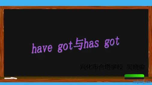 have和has的用法47099PPT课件