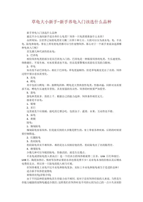 草龟大小新手-新手养龟入门该选什么品种