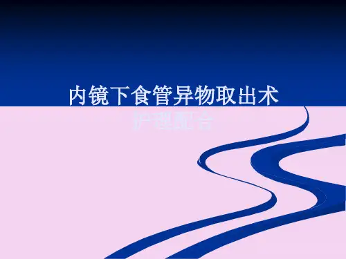 内镜下食管异物取出术ppt课件