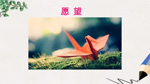 三年级语文上册第一单元3愿望第2课时课件湘教版