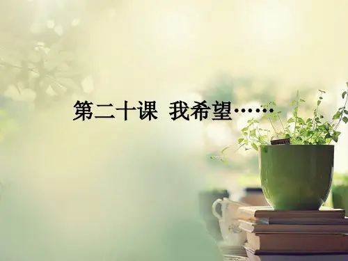 初级汉语口语第二十课