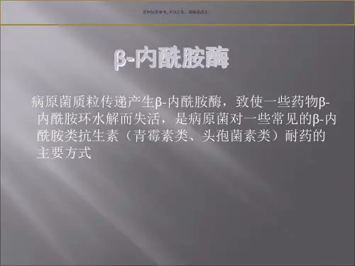 内酰胺酶抑制剂