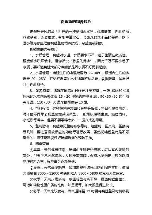 锦鲤鱼的饲养技巧
