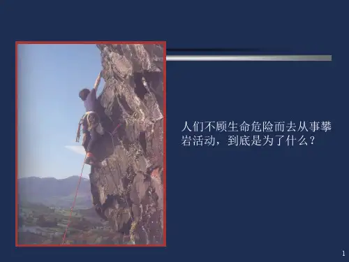 运动活动的动机