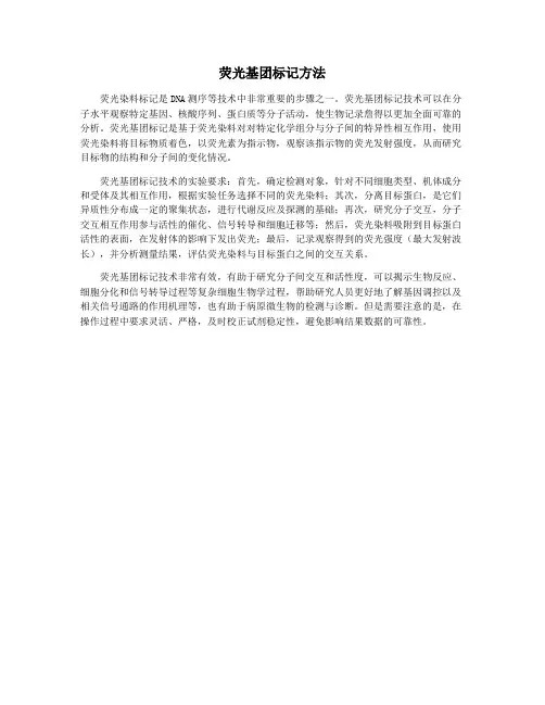 荧光基团标记方法