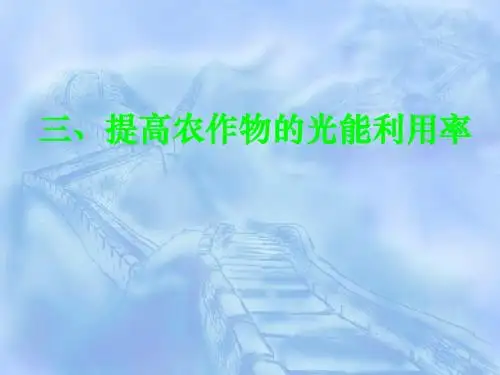 提高农作物的光能利用率ppt课件(自制)1