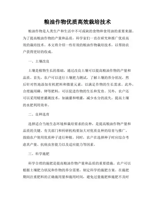 粮油作物优质高效栽培技术