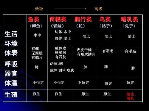 常见的动物1PPT课件