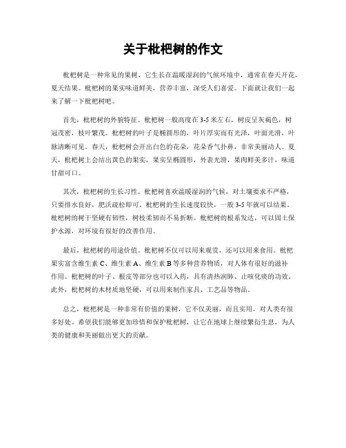 关于枇杷树的作文