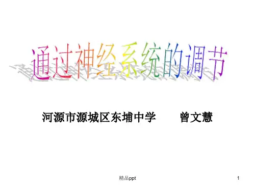 通过神经系统的调节ppt.PPT课件