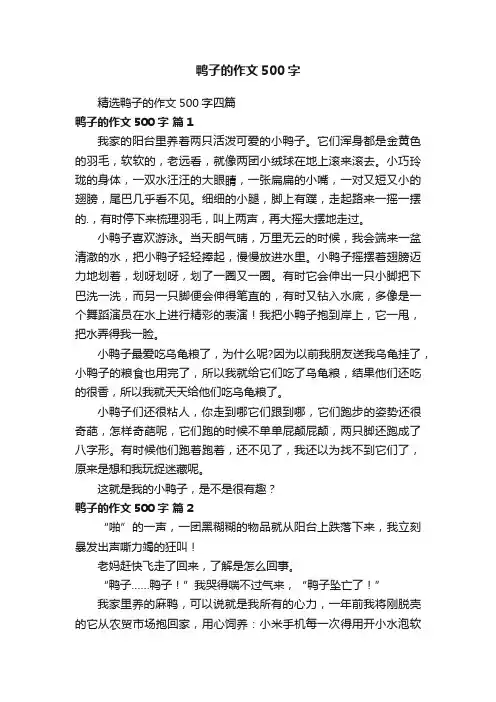 精选鸭子的作文500字四篇