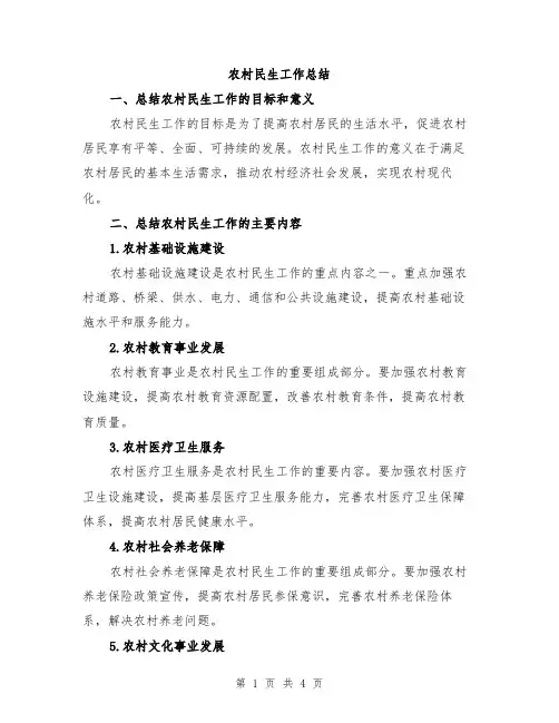 农村民生工作总结