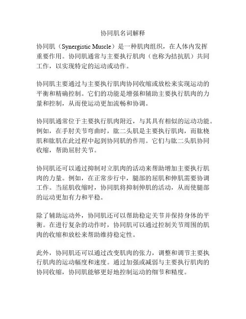 协同肌名词解释