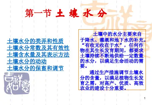 土壤水分的类型与性质