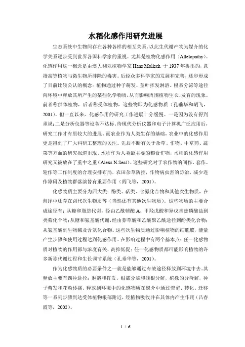 水稻化感作用研究进展