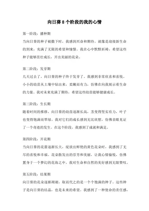向日葵8个阶段的我的心情
