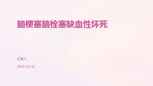 脑梗塞脑栓塞缺血性坏死