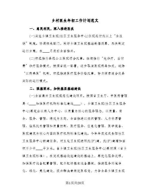 2024年乡村医生年初工作计划范文（五篇）