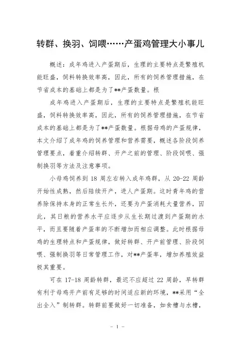 转群、换羽、饲喂……产蛋鸡管理大小事儿