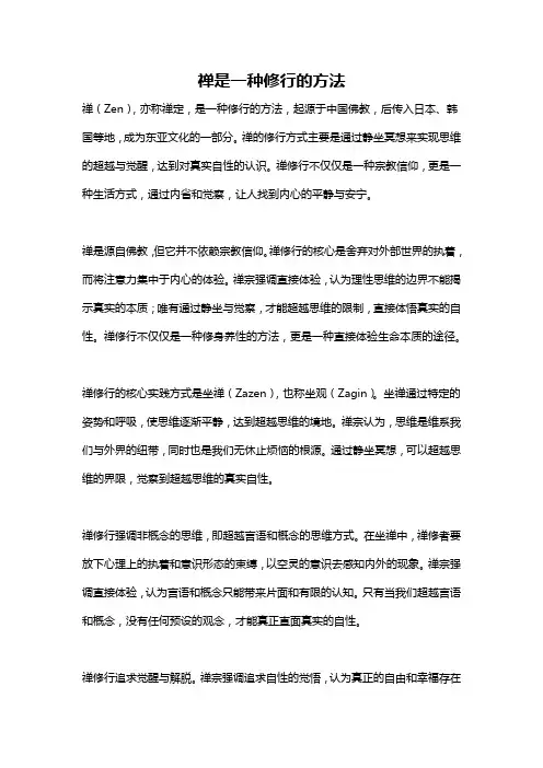 禅是一种修行的方法