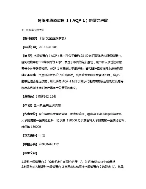 肾脏水通道蛋白-1（AQP-1）的研究进展