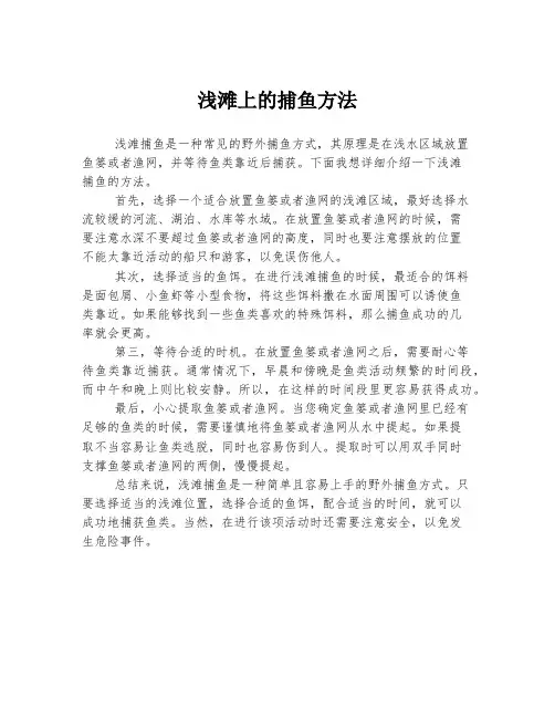 浅滩上的捕鱼方法