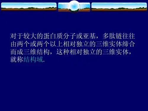 第04章第02节3中国农业大学生物学院生物化学刘国琴蛋白质II蛋白质的结构与功能