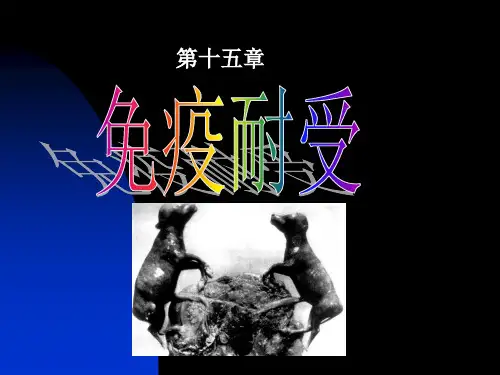 免疫耐受