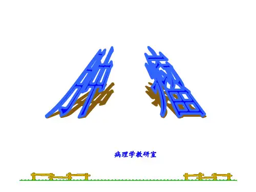 肿瘤【病理学】  ppt课件