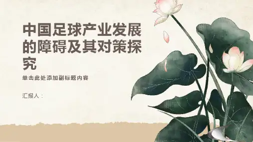 中国足球产业发展的障碍及其对策探究