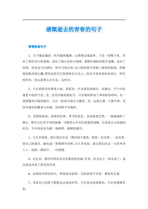 感慨逝去的青春的句子