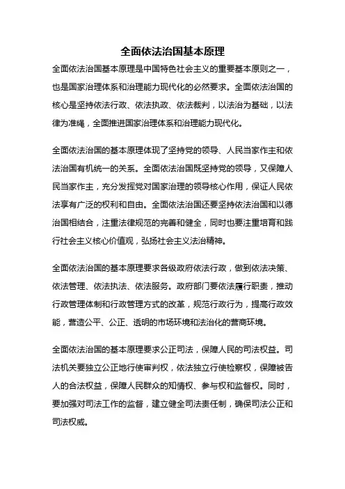 全面依法治国基本原理