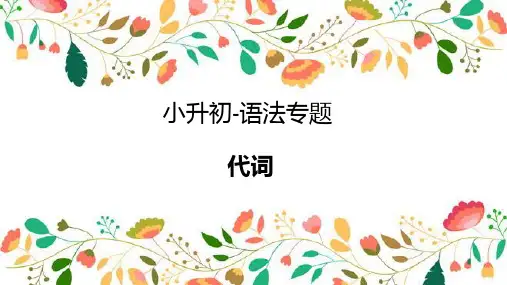 小学英语语法讲练4 代词