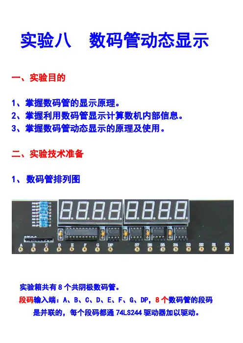 实验八 数码管动态显示