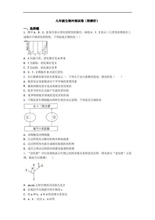 九年级生物冲刺试卷(附解析)