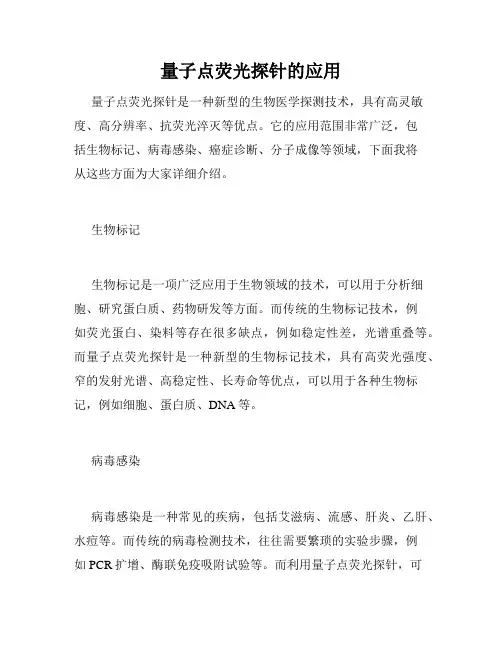 量子点荧光探针的应用