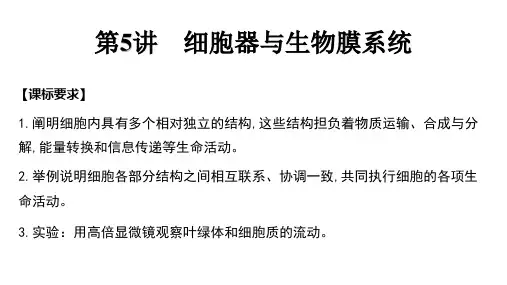 2024届高三生物一轮复习课件第5讲+++细胞器与生物膜系统