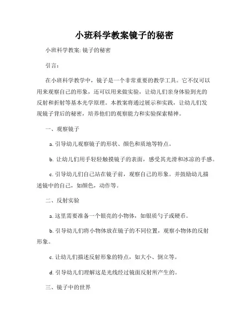 小班科学教案镜子的秘密