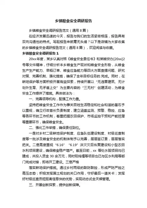 乡镇粮食安全调研报告