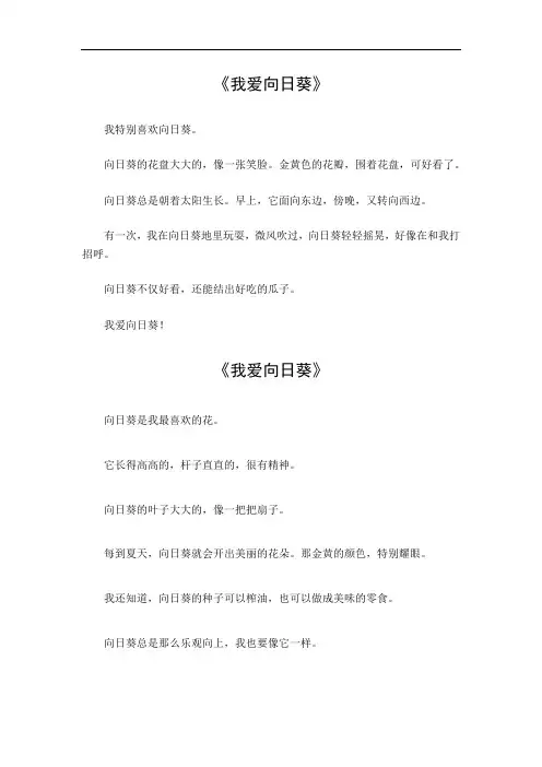 我爱向日葵作文500字