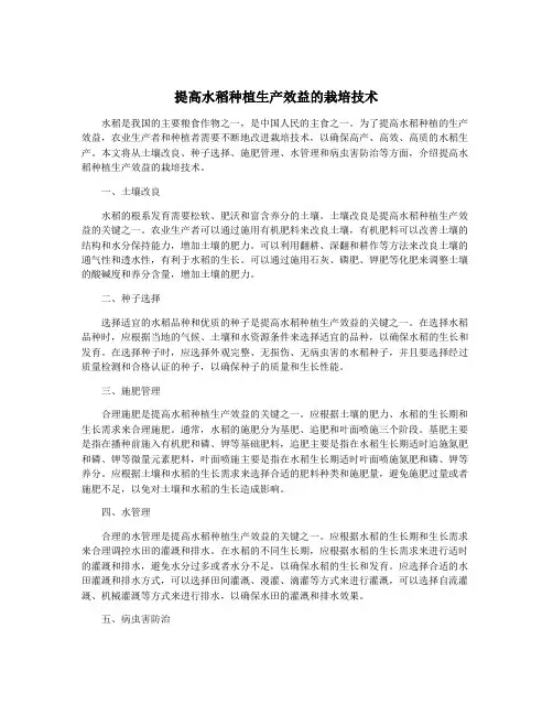 提高水稻种植生产效益的栽培技术