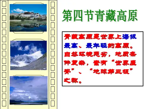 青藏地区ppt课件