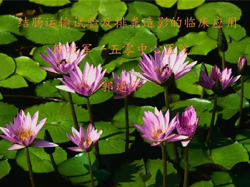 结肠运输试验及排粪造影的临床应用ppt课件