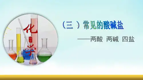 2022年中考化学复习：酸碱盐(三)两酸两碱四盐