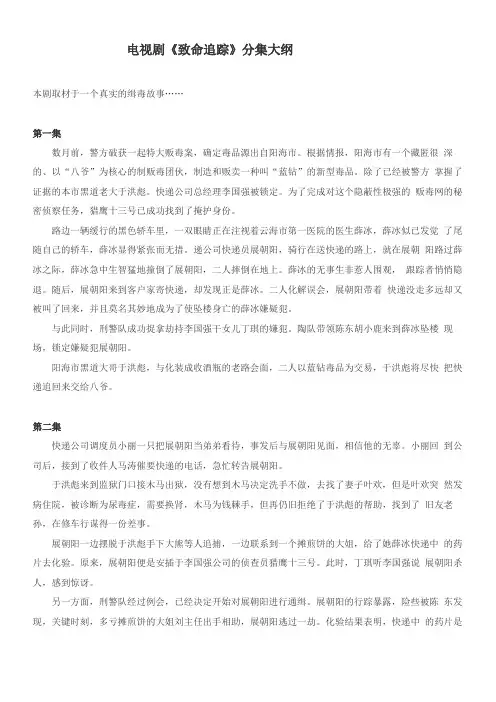 电视剧致命追踪分集大纲