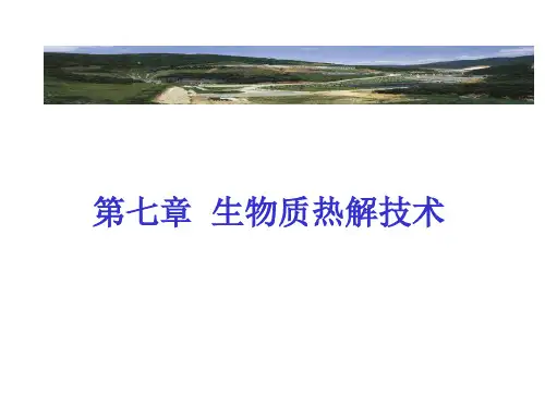 第七章-生物质热解技术  ppt课件