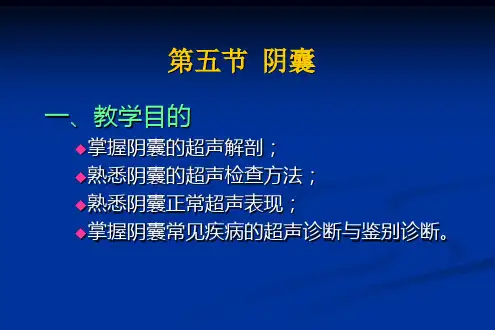 阴囊B超PPT课件