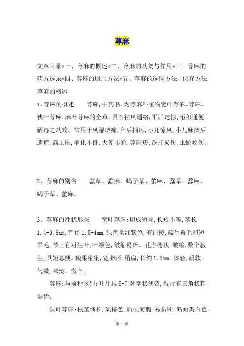 荨麻